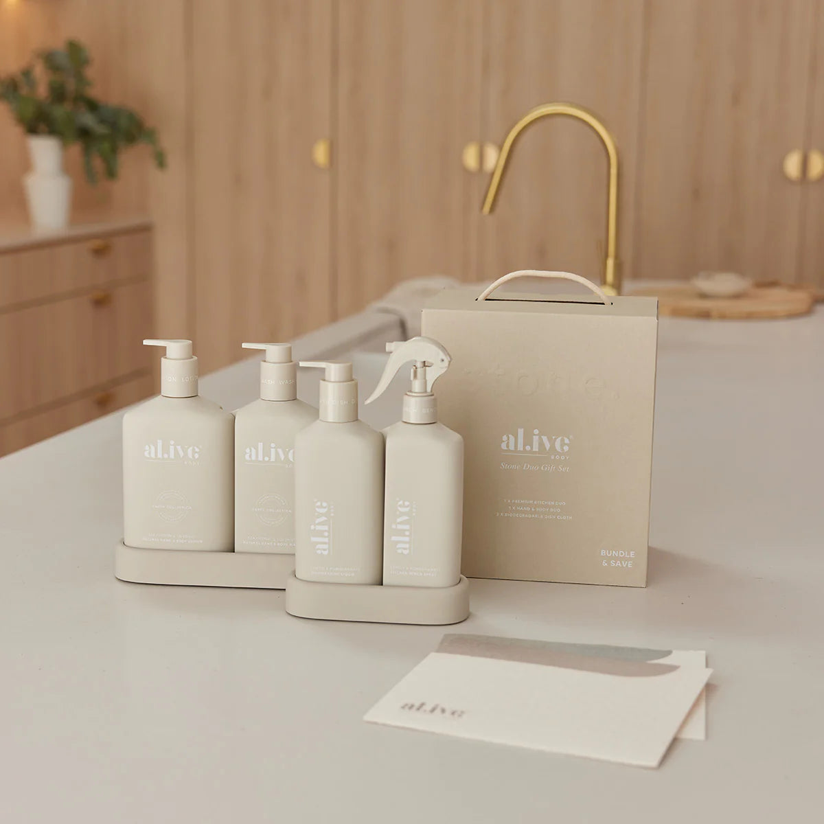 Alive Body Stone Gift Set | The Ivy Plant Studio