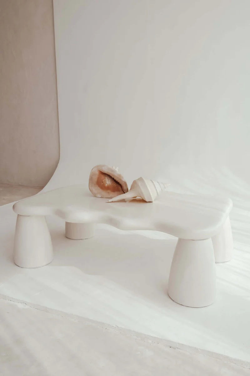 BLACK SALT CO THE SOLEIL COFFEE TABLE | THE IVY PLANT STUDIO