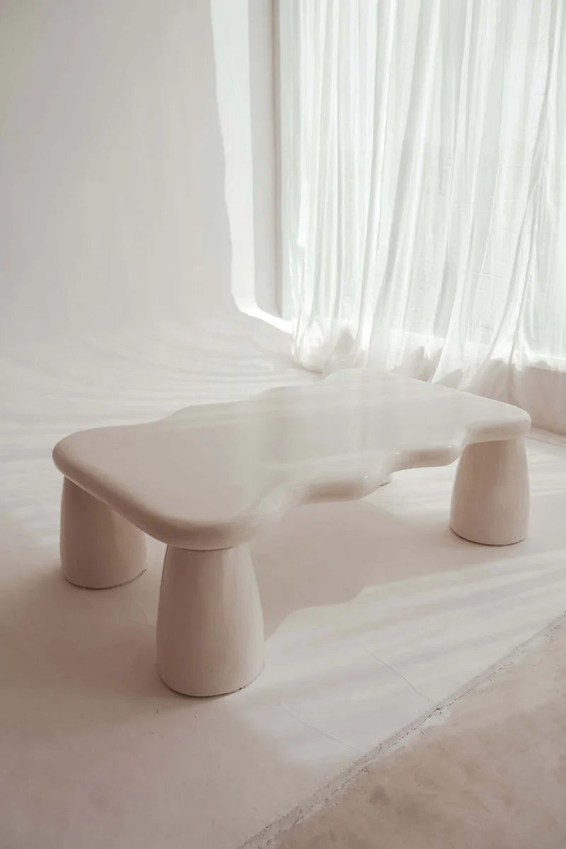 BLACK SALT CO THE SOLEIL COFFEE TABLE | THE IVY PLANT STUDIO