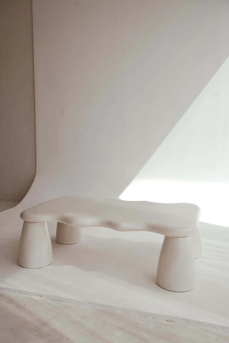 BLACK SALT CO THE SOLEIL COFFEE TABLE | THE IVY PLANT STUDIO