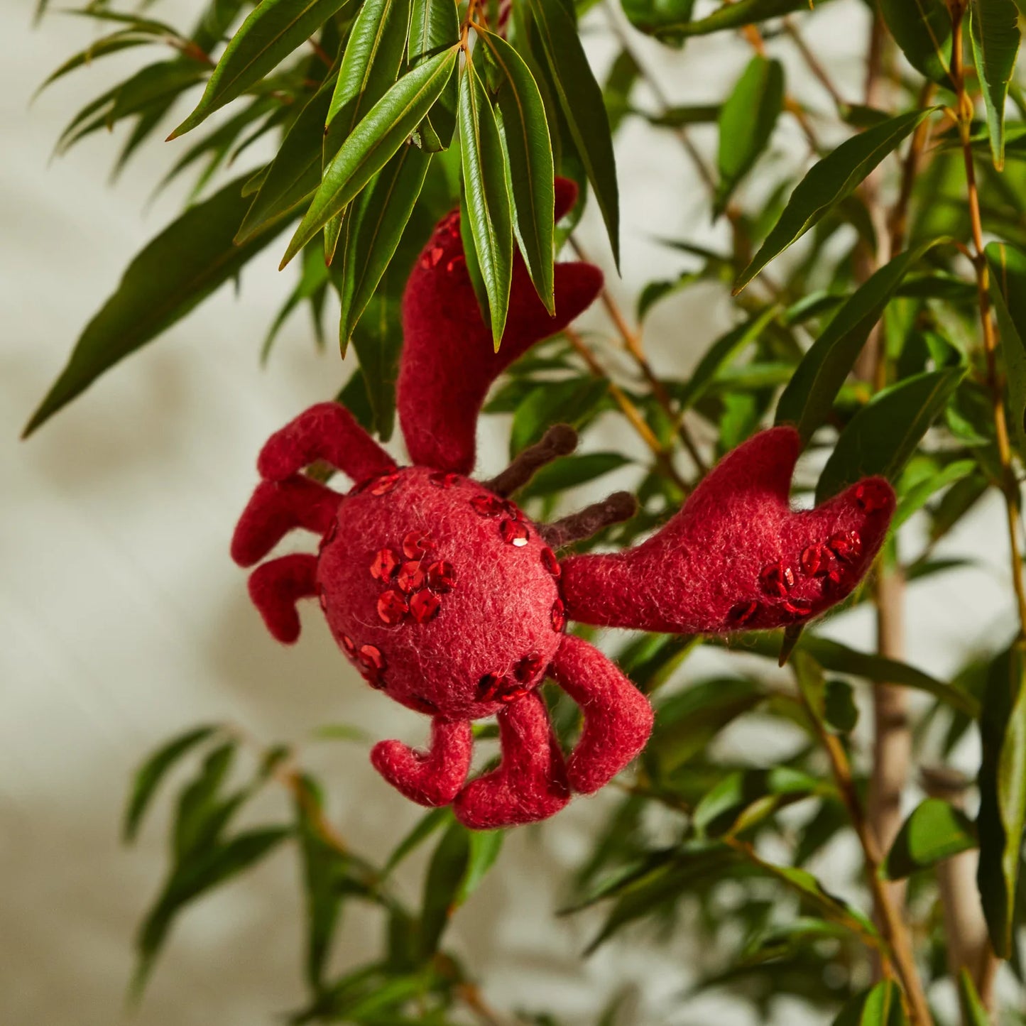 SAGE X CLARE NIMESHA CRAB DECORATION | THE IVY PLANT STUDIO
