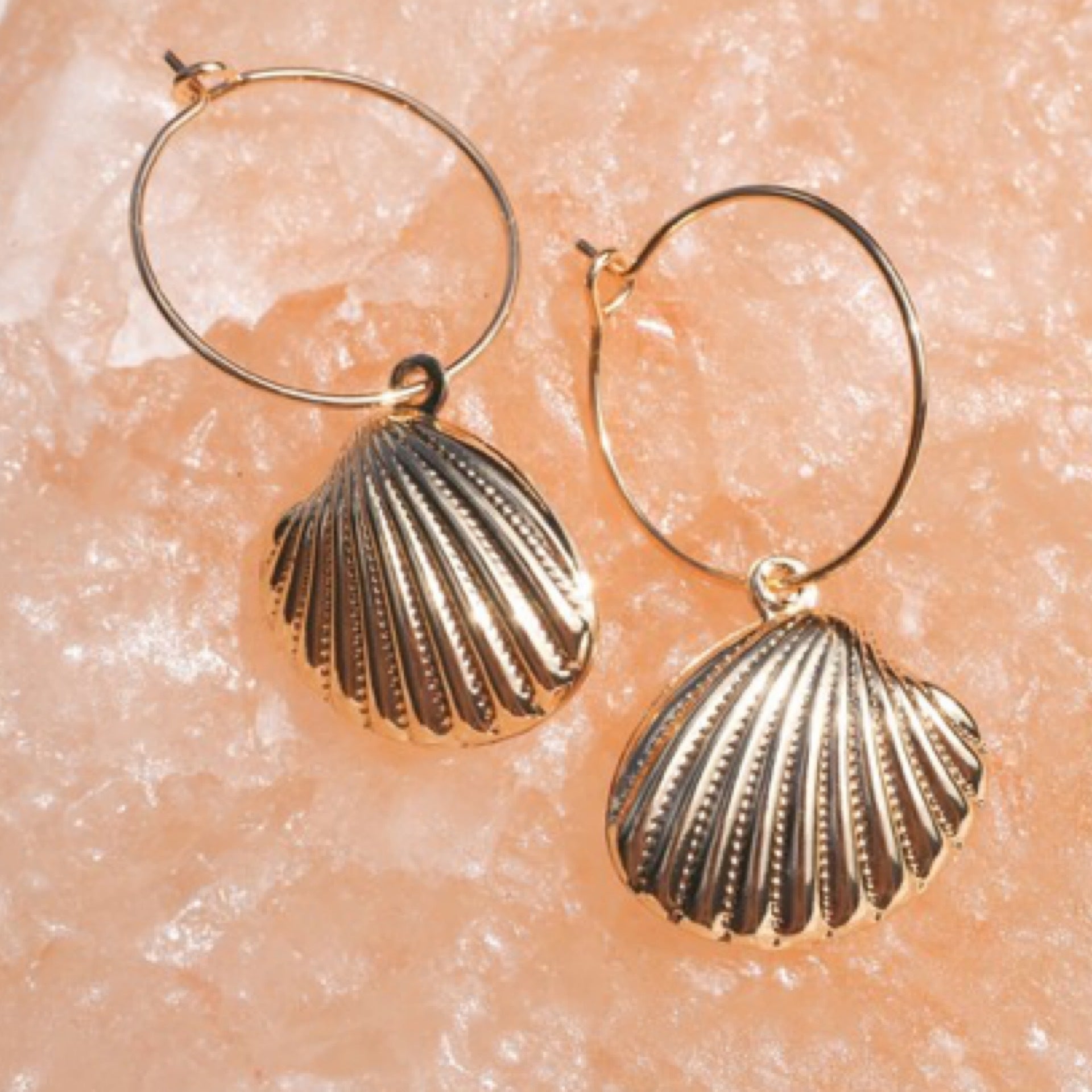 Alesi Creative Big Scallop Gold Earrings | The Ivy Plant Studio