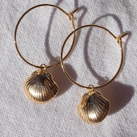 Alesi Jewellery Golden Scallops 2cm Gold| The Ivy Plant Studio 