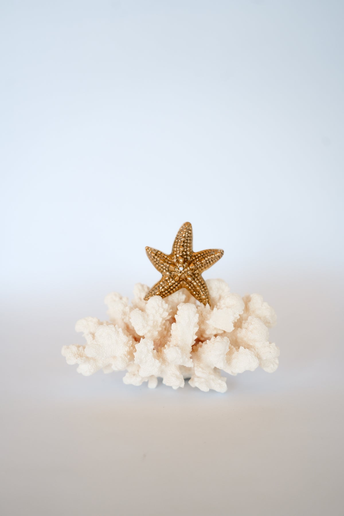 BLACK SALT CO THE STARFISH BRASS INCENSE HOLDER | THE IVY PLANT STUDIO