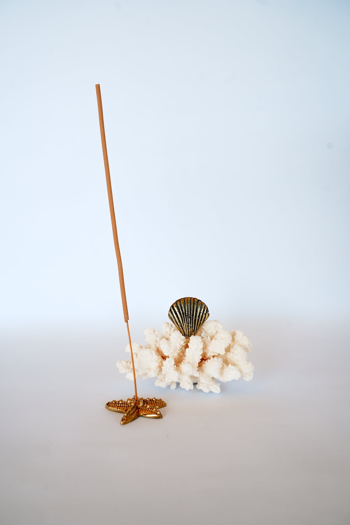 BLACK SALT CO THE STARFISH BRASS INCENSE HOLDER | THE IVY PLANT STUDIO