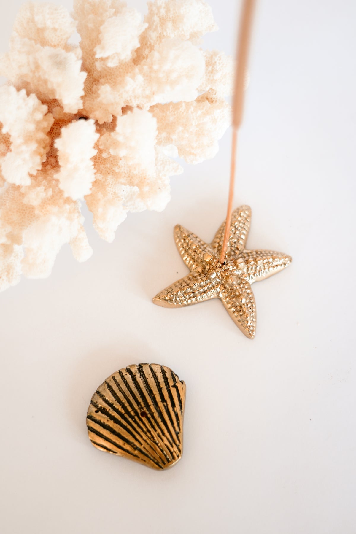 BLACK SALT CO THE STARFISH BRASS INCENSE HOLDER | THE IVY PLANT STUDIO
