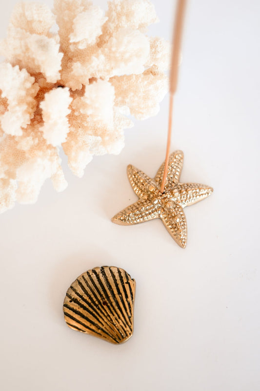 BLACK SALT CO THE STARFISH BRASS INCENSE HOLDER | THE IVY PLANT STUDIO