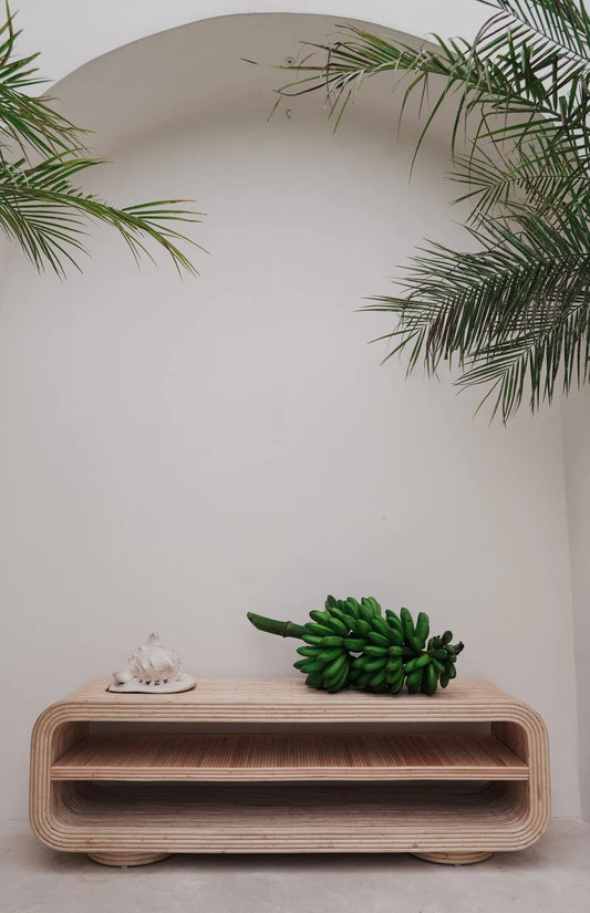 Black Salt Co The Rico TV Cabinet | The Ivy Plant Studio 