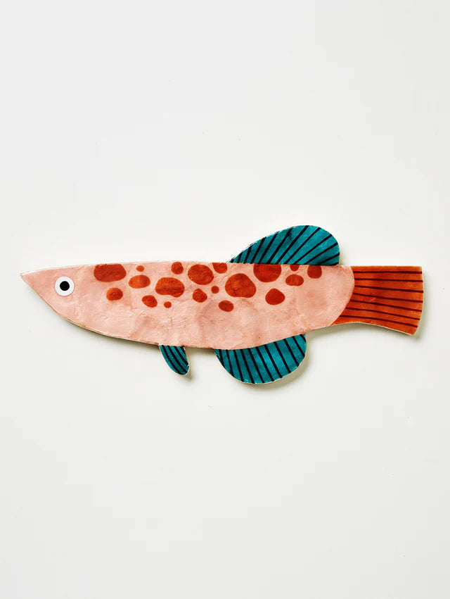 Jones & Co Comet Fish | The Ivy Plant Studio 