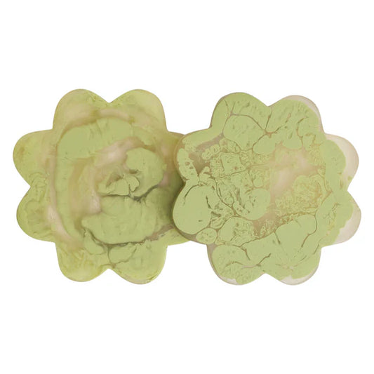 SAGE X CLARE CECILIA COASTERS - SET OF 2 - PISTACHIO | THE IVY PLANT STUDIO 