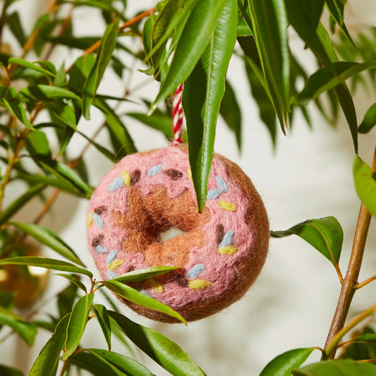 SAGE X CLARE CHAITALI DONUT DECORATION | THE IVY PLANT STUDIO