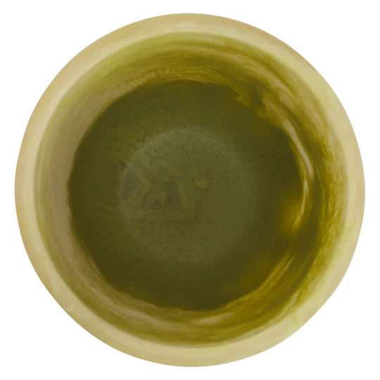 SAGE & CLARE KALINDA VASE - PISTACHIO | THE IVY PLANT STUDIO