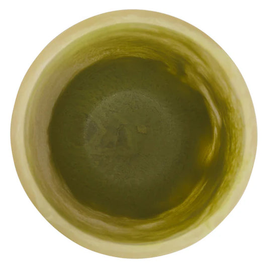 SAGE & CLARE KALINDA VASE - PISTACHIO | THE IVY PLANT STUDIO