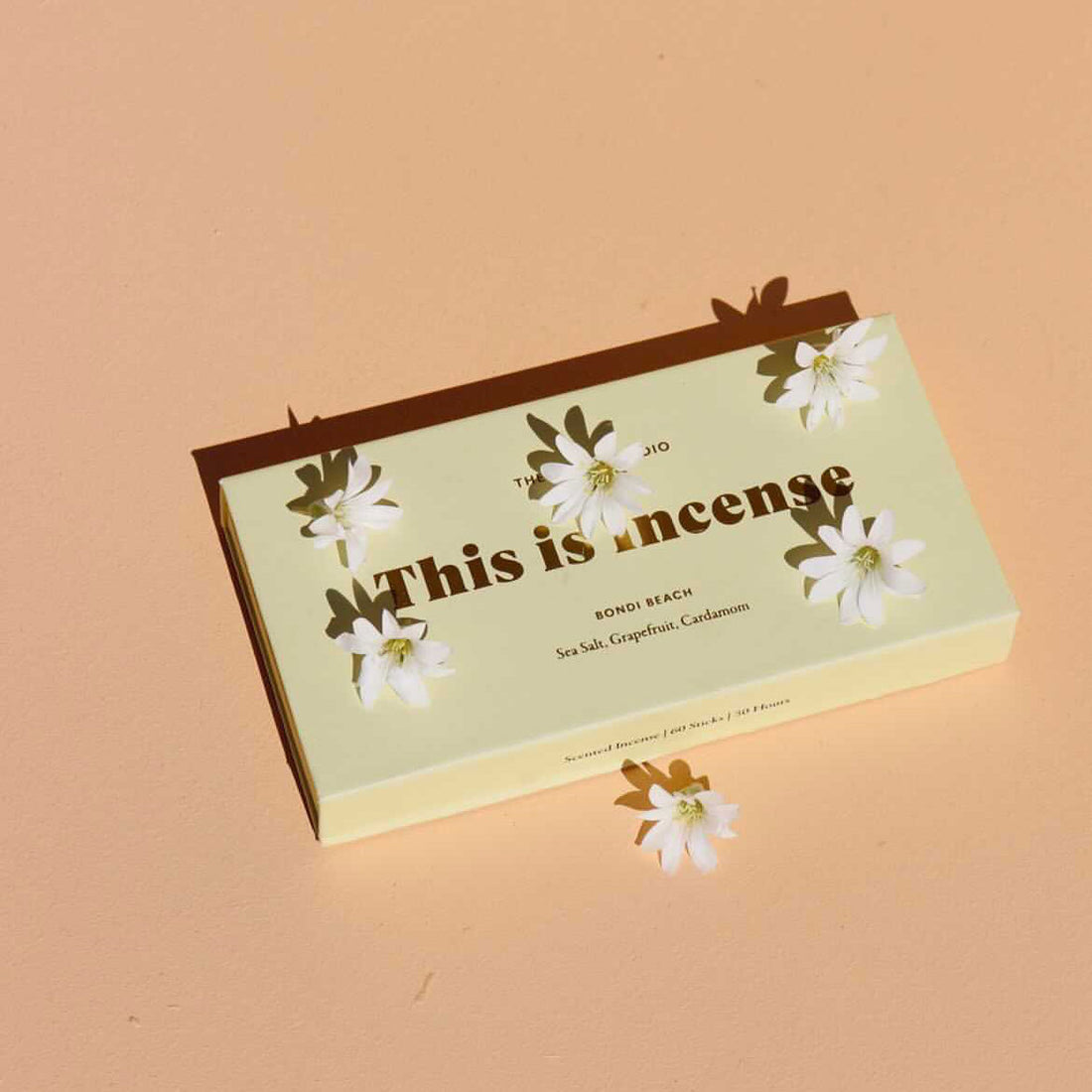 This Is Incense Bondi Beach | Gentle Habits | The Ivy Plant Studio 