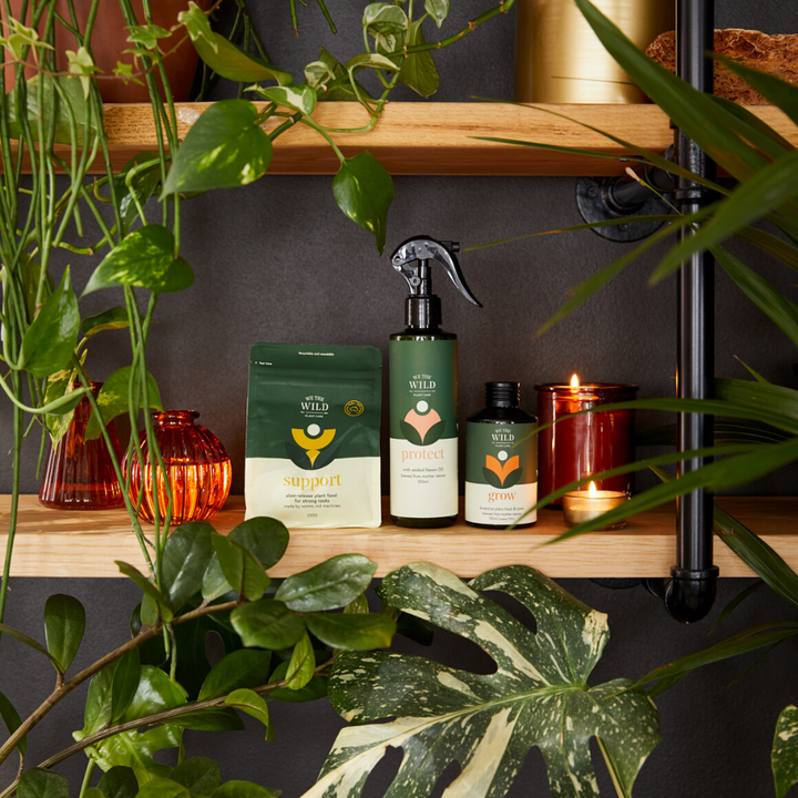 Essential Plant Care Kit | We The Wild | The Ivy Plant Studio | Plant Care | Plant Food 