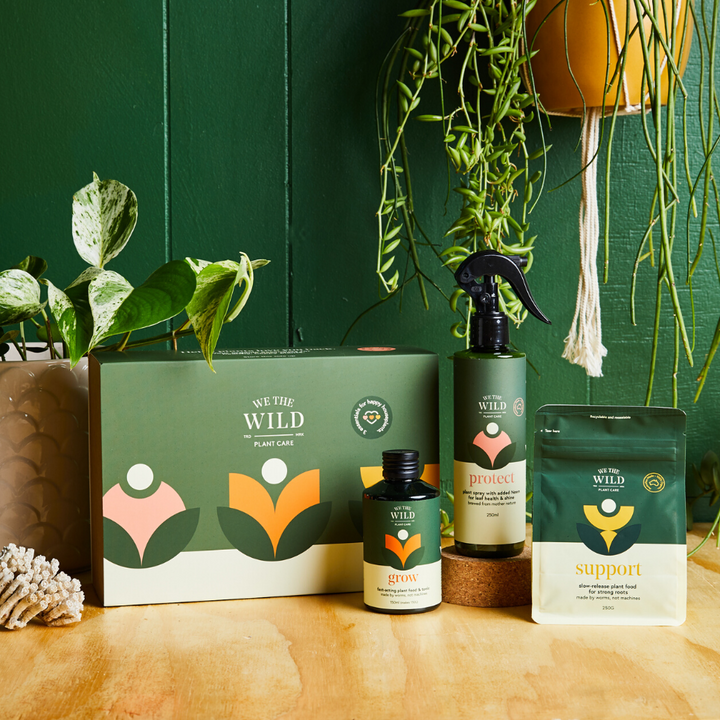 Essential Plant Care Kit | We The Wild | The Ivy Plant Studio | Plant Care | Plant Food 