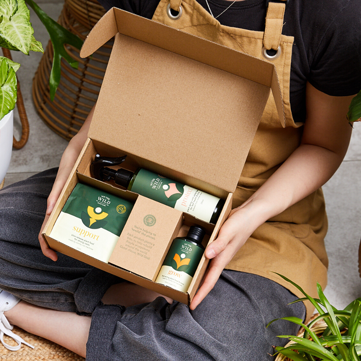 Essential Plant Care Kit | We The Wild | The Ivy Plant Studio | Plant Care | Plant Food 