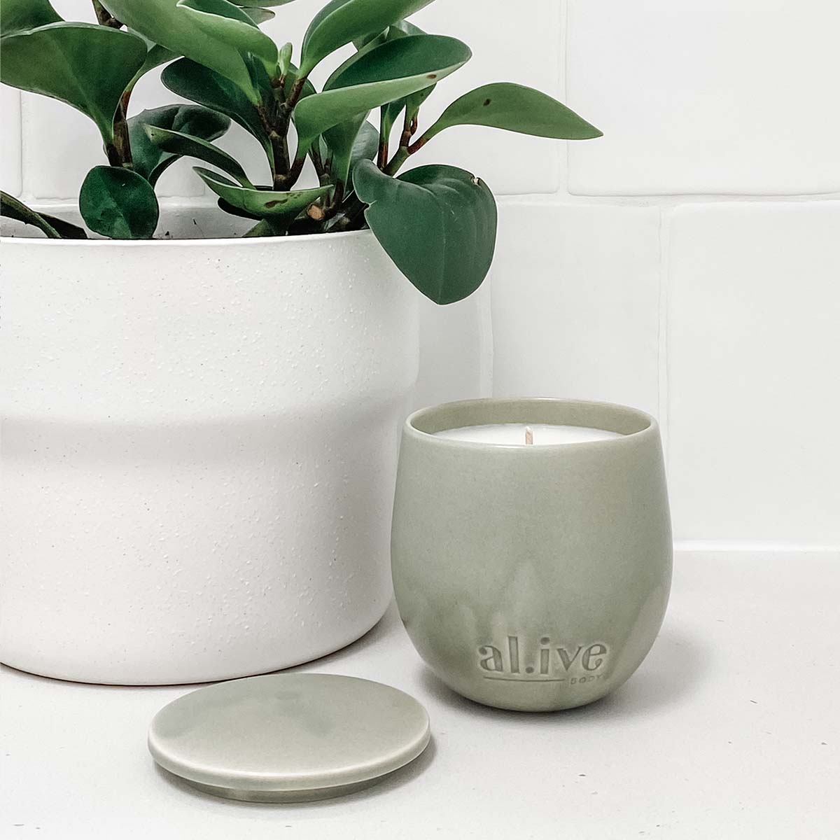 Products al.ive Body - BLACKCURRANT & CARIBBEAN WOOD CANDLE | Alive Body | The ivy plant studio 